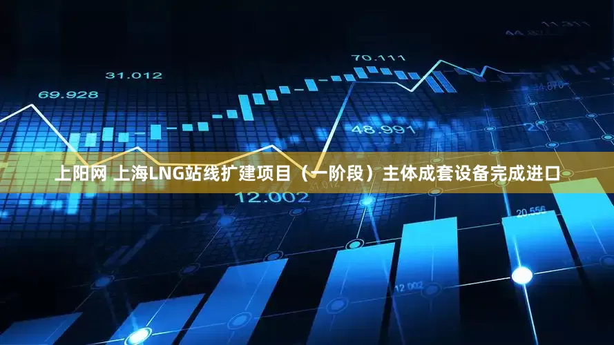 上阳网 上海LNG站线扩建项目（一阶段）主体成套设备完成进口